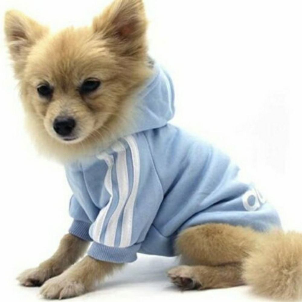 NWOT Blue Doggie Track Suit "Adidog" - Picture 7 of 7